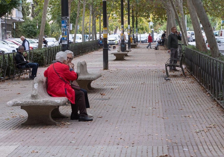 Vecinos de Don Bosco votan sustituir los árboles y mantener dos carriles en la calle